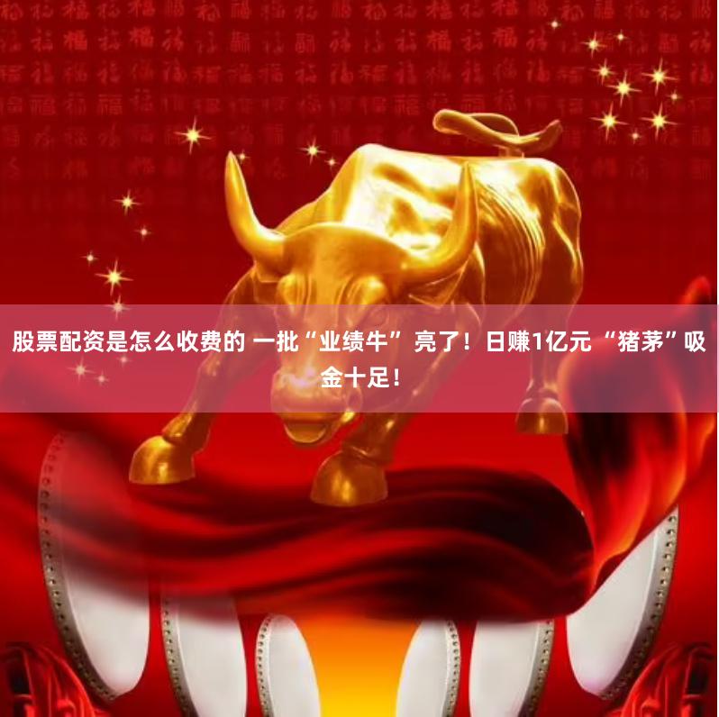 股票配资是怎么收费的 一批“业绩牛” 亮了！日赚1亿元 “猪茅”吸金十足！